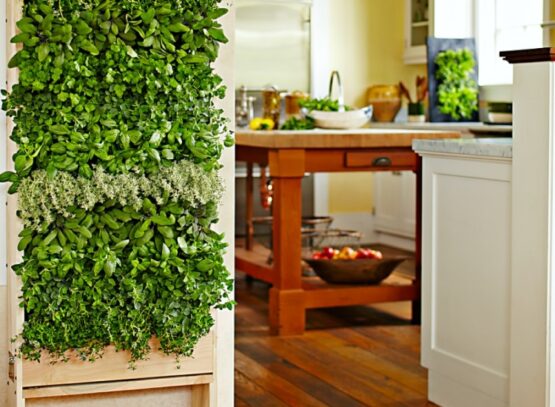 mur-végétal-intérieur-herbes-aromatiques