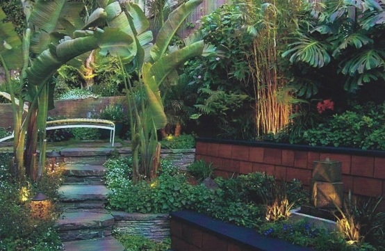 petit-jardin-amenagement-vegetation-abondante-revetement-mur