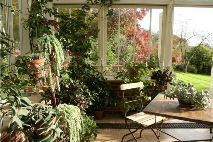 petit jardin hiver entrée vitrée maison plantes vertes