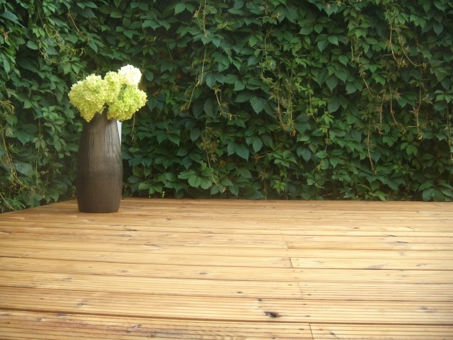 pin-traité-thermique-lame-terrasse-bois-mur-végétal lame de terrasse