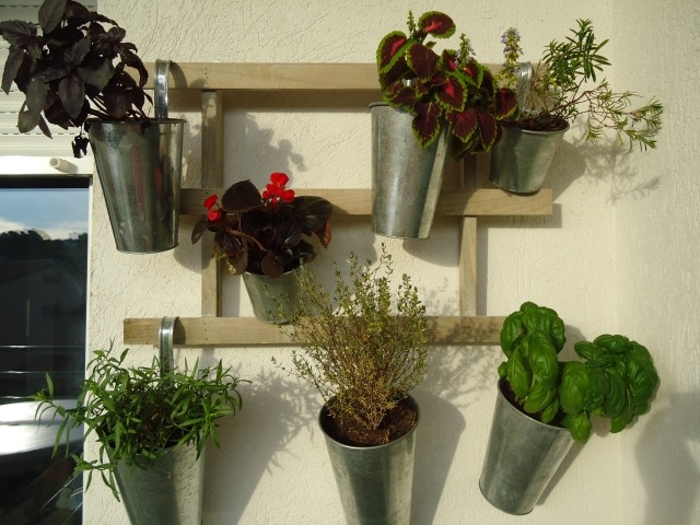 plantes-aromatiques-plantes-fleurs-cache-pots-métal-mur