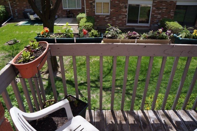 Plantes aromatiques au balcon comment cultiver les herbes? Inspiration Balcon Maison