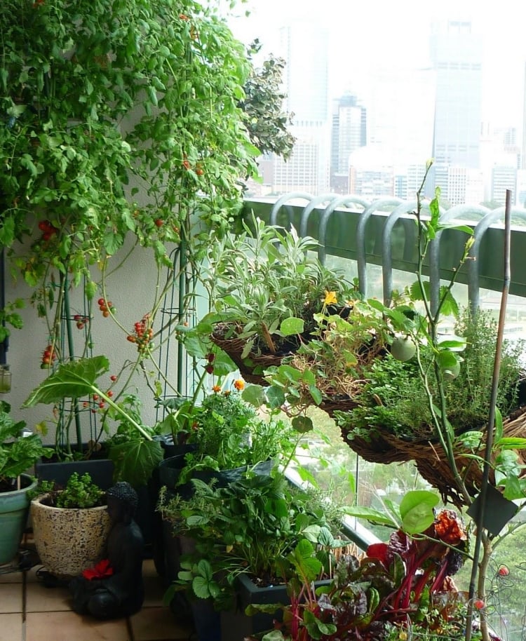 plantes-balcon-jardin-potager-cache-pots plantes balcon