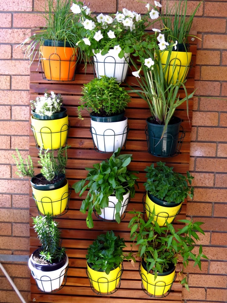 plantes-balcon-jardin-vertical-pots plantes balcon