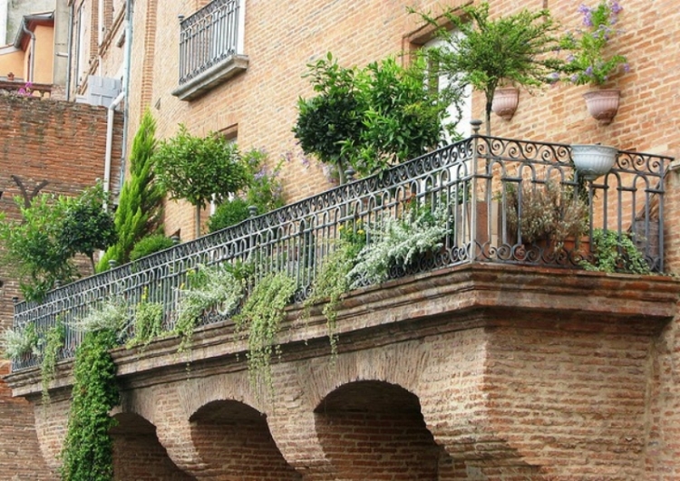 plantes-balcon-vertes-retombantes-arbustes plantes balcon