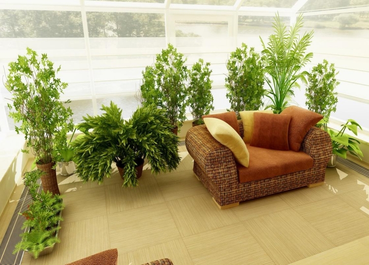 plantes vertes jardin hiver maison-fauteuil-confortable