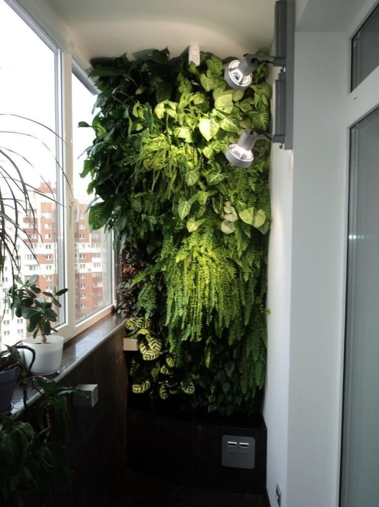 plantes vertes jardin hiver vertical-petit-balcon-maison