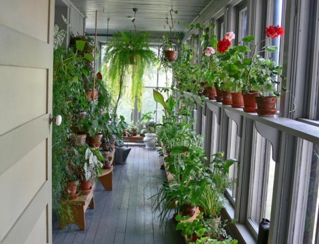 plantes vertes pots suspendus-montés-jardin-hiver-maison