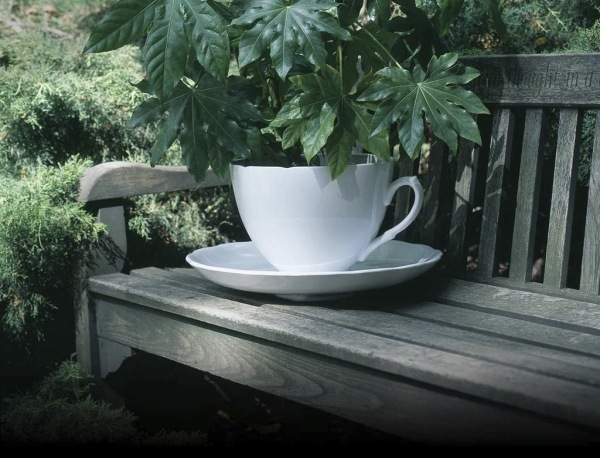 pot-fleurs-design-forme-tasse-café-Plant-Cup-Gitta-Gschwendtner
