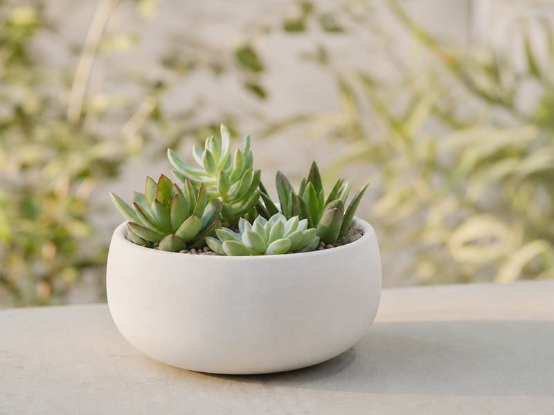 pots-jardinières-design-idée-plantes-succulentes