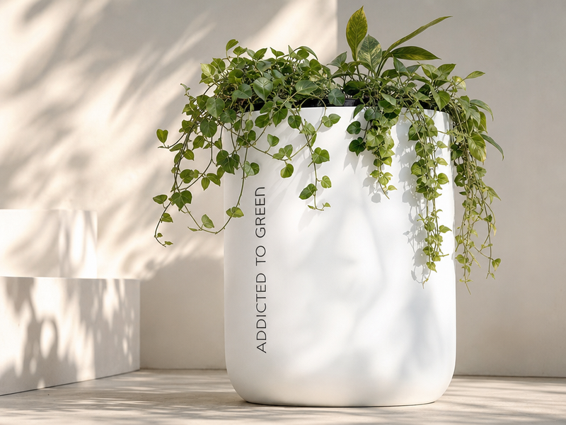jardinières-design-Addicted-to-Green-Agence-Akïro