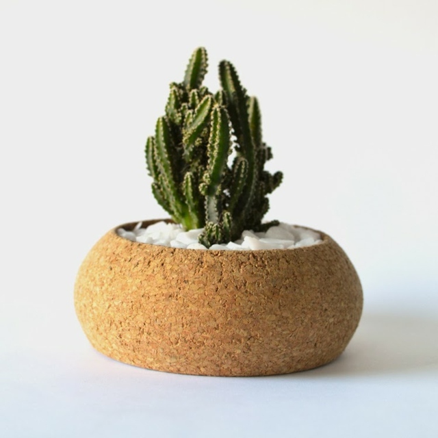 pots pour plantes liège-cactus-galets-blancs