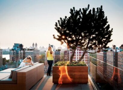 terrasse et jardin toit plat canapé-salon-conifère-bac