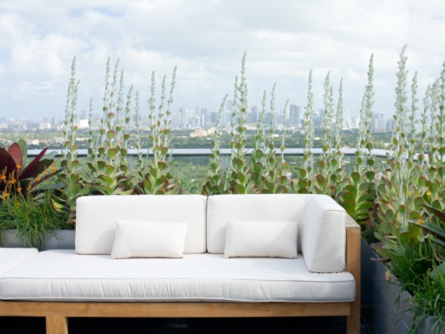 terrasse sur toit plat canapé-extérieur-blanc-succulentes