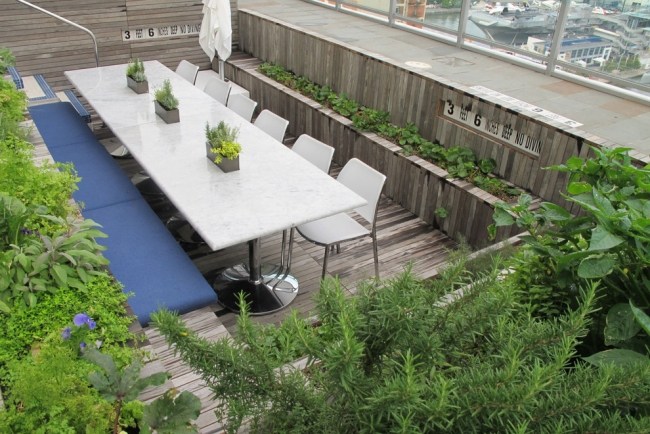 toit-terrasse-coin-repas-jardin-piscine-plantes-banc-couleur-bleue