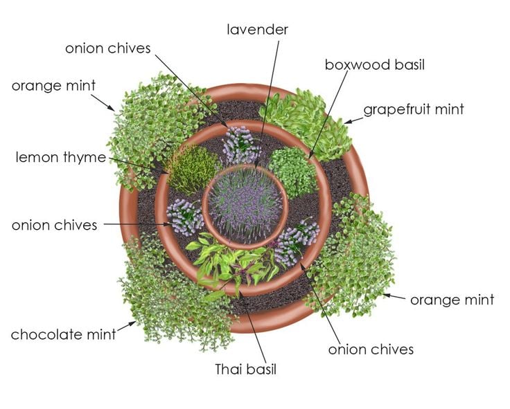 aménagement-jardin-spirale-aromatique-plantes