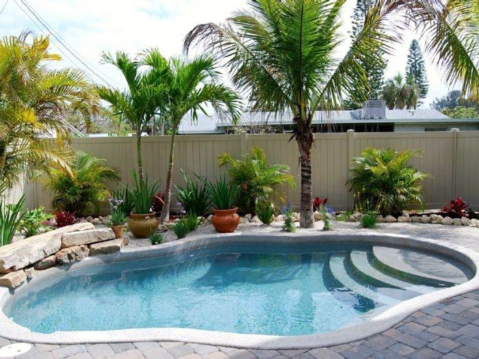 amenagement-jardin-piscine-palmier