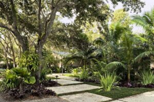 amenagement jardin plantes exotiques allée dalles