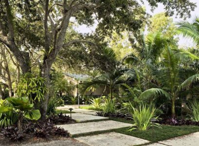 amenagement jardin plantes exotiques allée dalles
