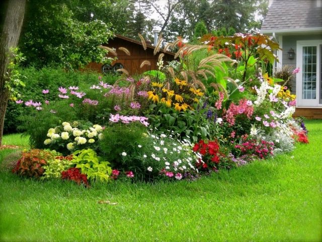 amenagement-terrasse-et-jardin-deco-exterieure-plantes-multicolores