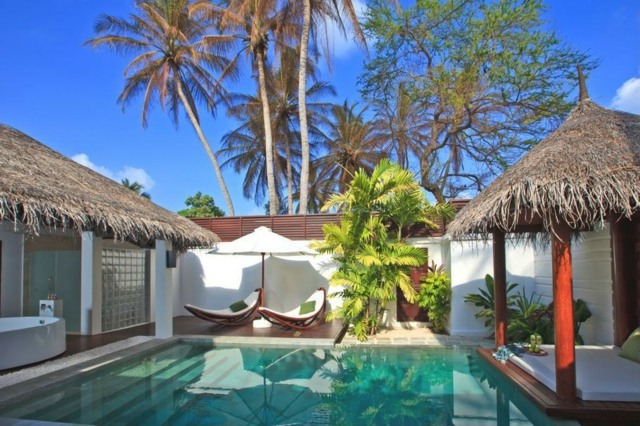 amenagement-terrasse-pavillon-palmiers-piscine