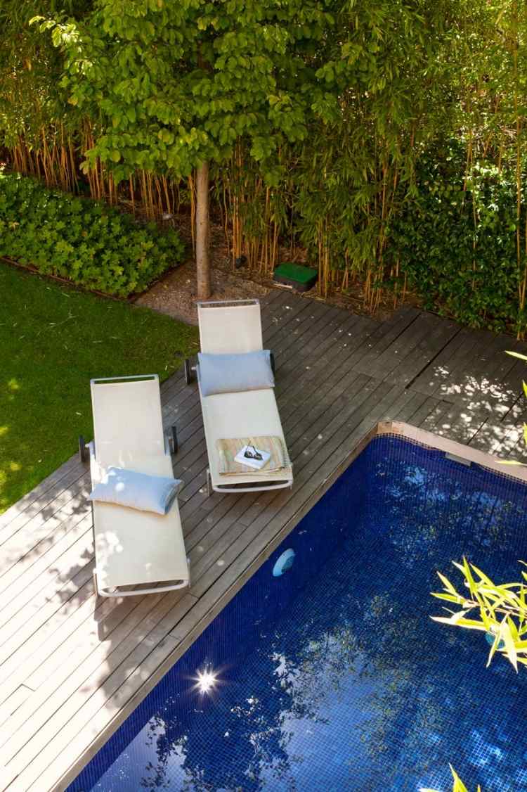 amenager-terrasse-2015-piscine-chaises-longues-brise-vue-vert