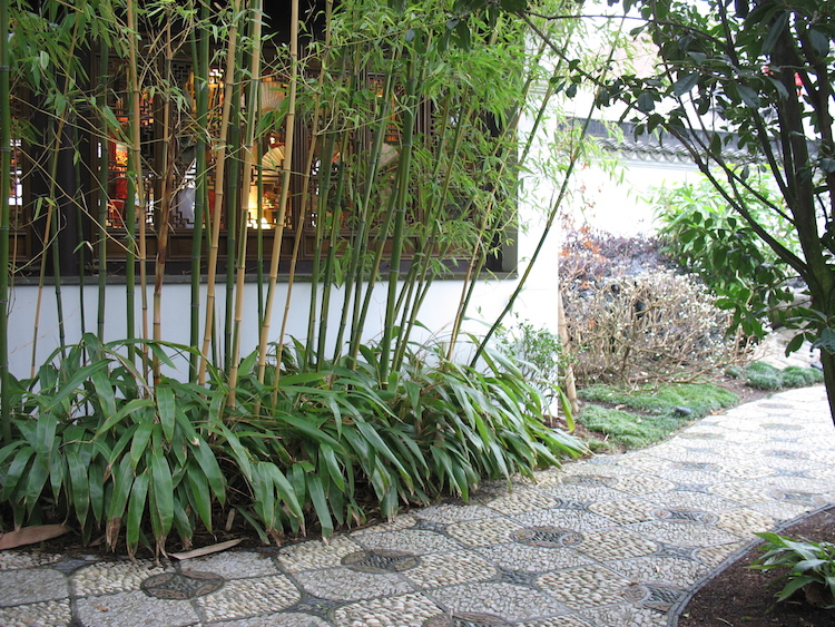 aménagement-jardin-allée-pierres-galets-entourée-bambou