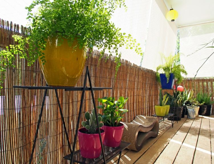 aménagement-balcon-brise-vue-bambou-plantes