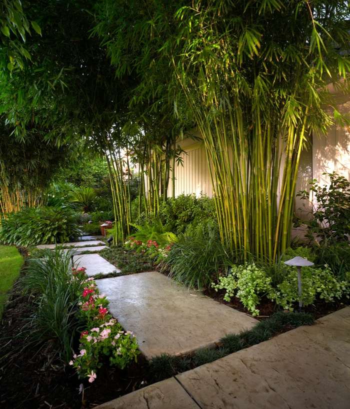 aménagement-jardin-bambou-dalles-beton