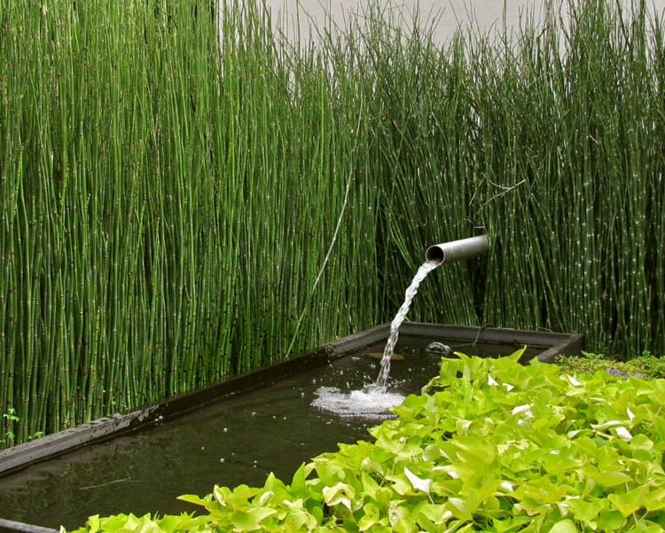 aménagement-jardin-bambou-fontain-eau