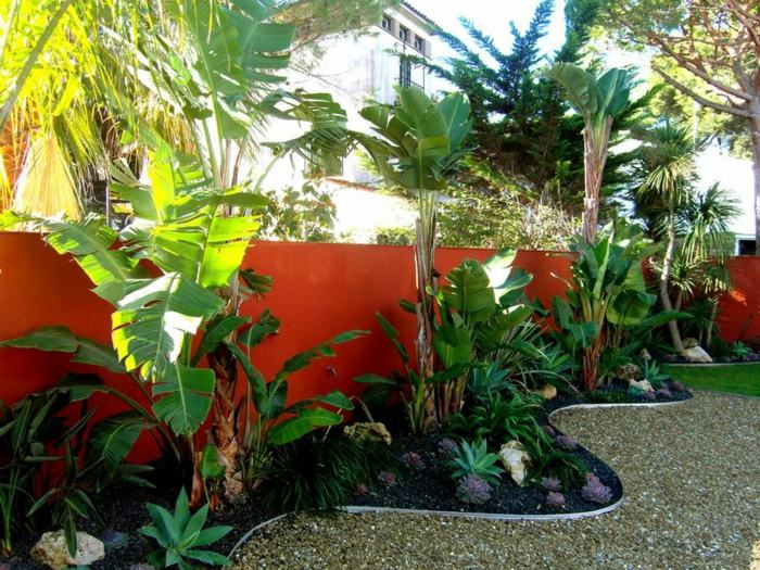 aménagement jardin bananier-plantes-exotiques