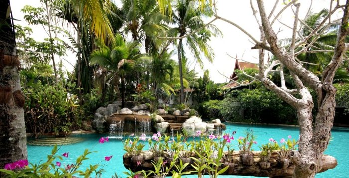 aménagement-jardin-cascade-piscine-palmiers