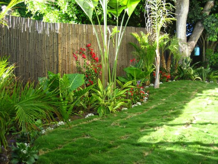 aménagement-jardin-palmier-pelouse-brise-vue-bambou