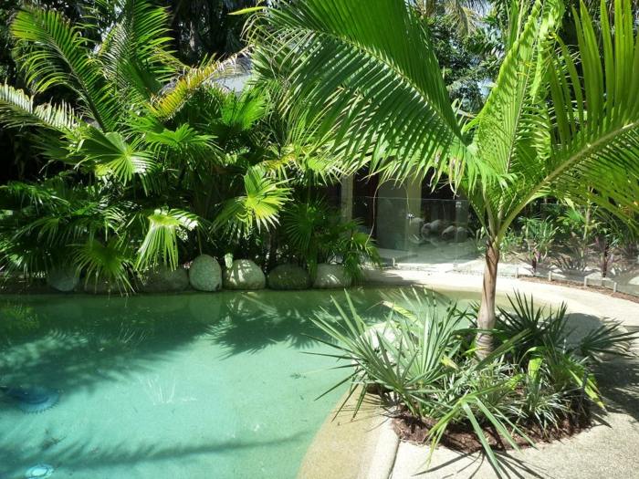 aménagement-jardin-palmiers-piscine-esprit-tropical