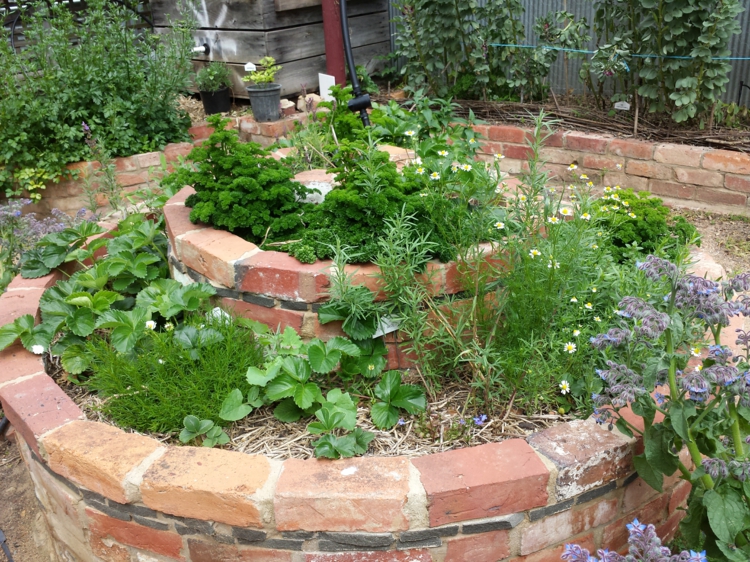 aménagement-jardin-spirale-aromatique-briques-plantes