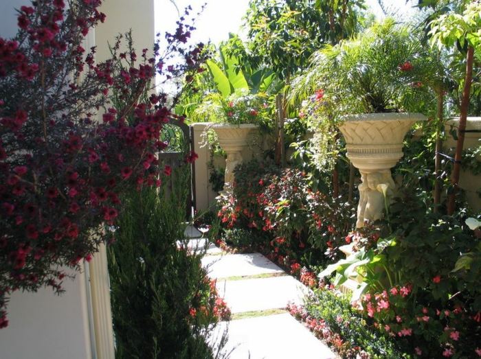 aménagement-jardin-style-mediterraneen-plantes-exotiques
