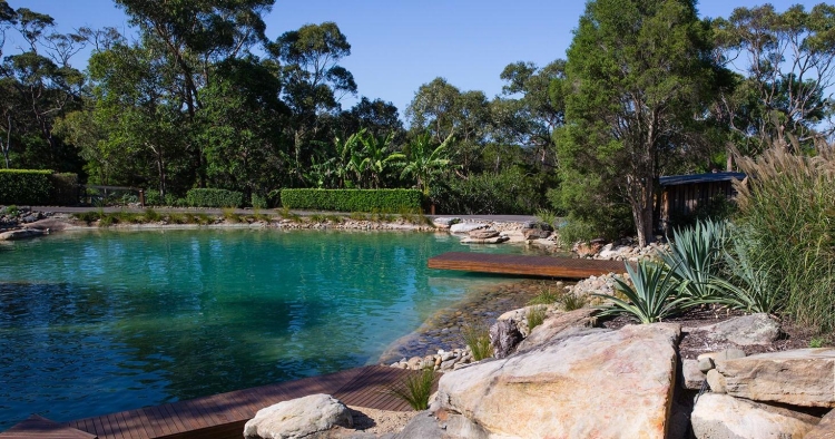 aménagement paysager Terry Hills piscine plage immergée