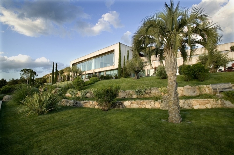 aménagement paysager palmiers plantes exotiques architecture moderne
