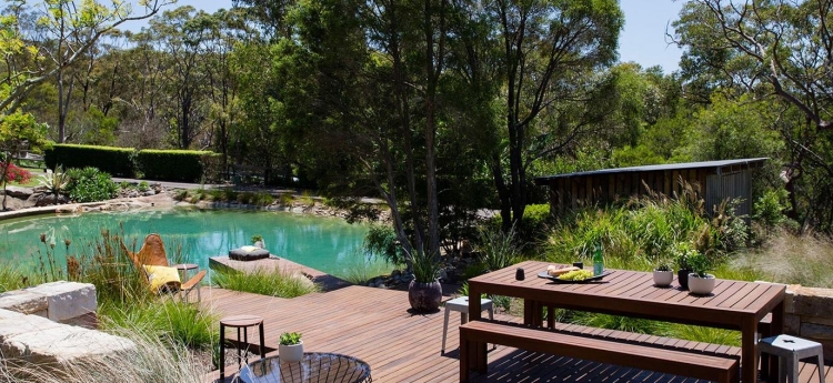 aménagement paysager piscine naturelle-terrasse-bois