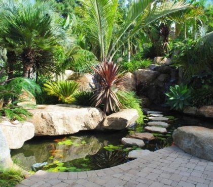 bassin-jardin-rochers-palmiers-revetement-sol-poissons-deco