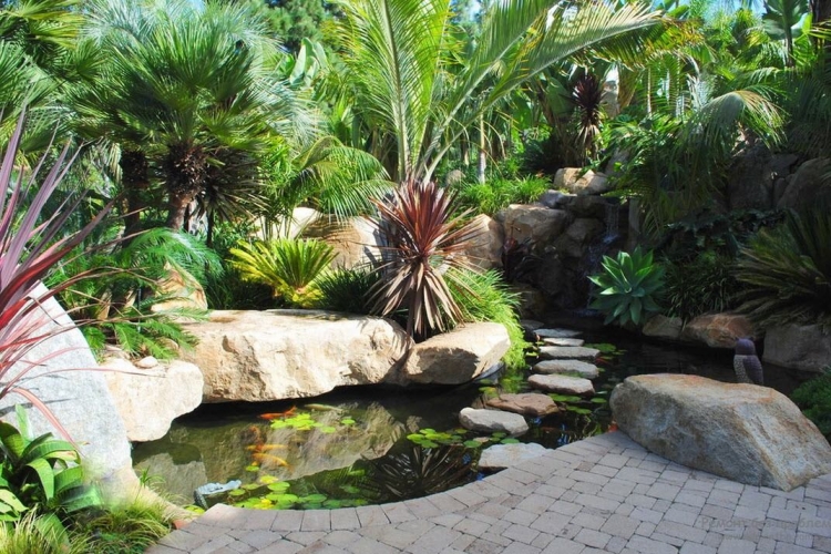 bassin-jardin-rochers-palmiers-revetement-sol-poissons-deco