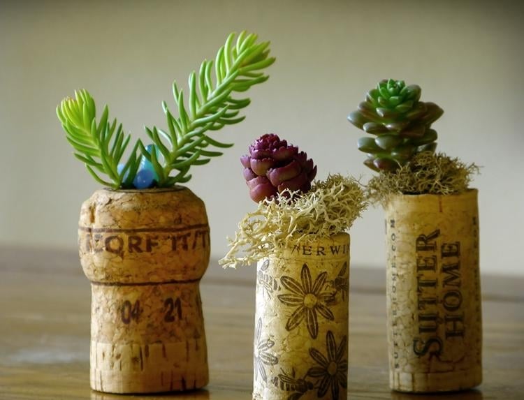 bouchon de liège pot-miniature-projet-bricolage-DIY