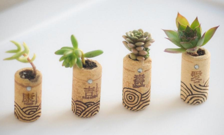 bouchon de liège utiliser pot-miniature-plante-succulente