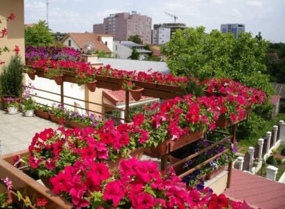 brise-vue-balcon-petunias-jardiniere-bois