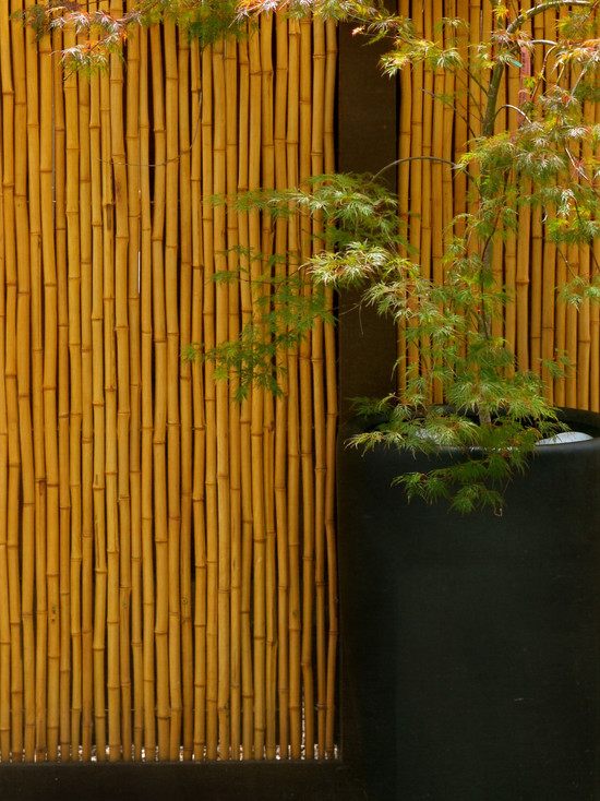 Brise-vue bambou et clôture pour plus d'intimité dans le ...