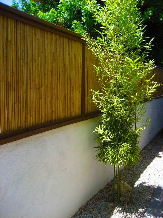 brise-vue-bambou-cloture-plantes-cailloux