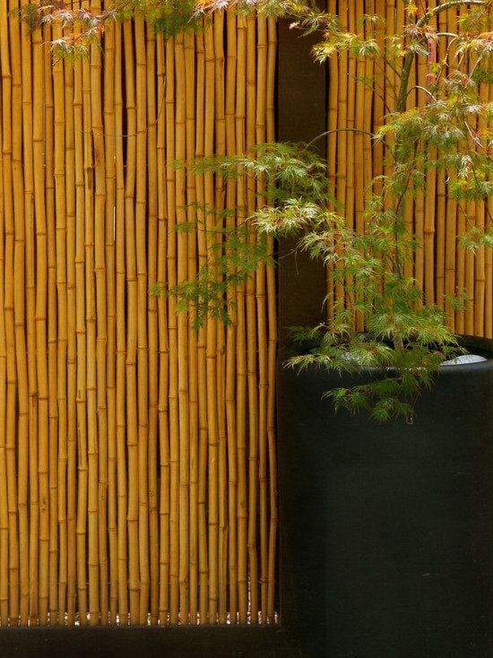 brise-vue-bambou-clôture-plante-jardinière-haute