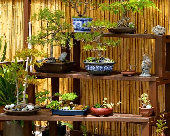 brise-vue-bambou-jardin-vertical-bonsais-galets