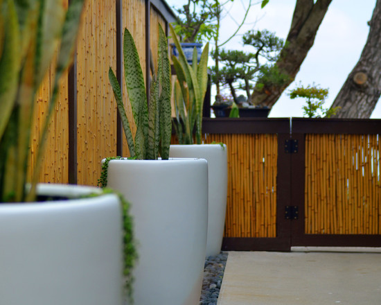 brise-vue-bambou-jardinières-cloture-ornement-terrasse