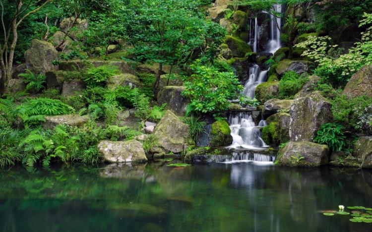 cascade-bassin-impressionnant-jardin-japonais-végétation-opulente